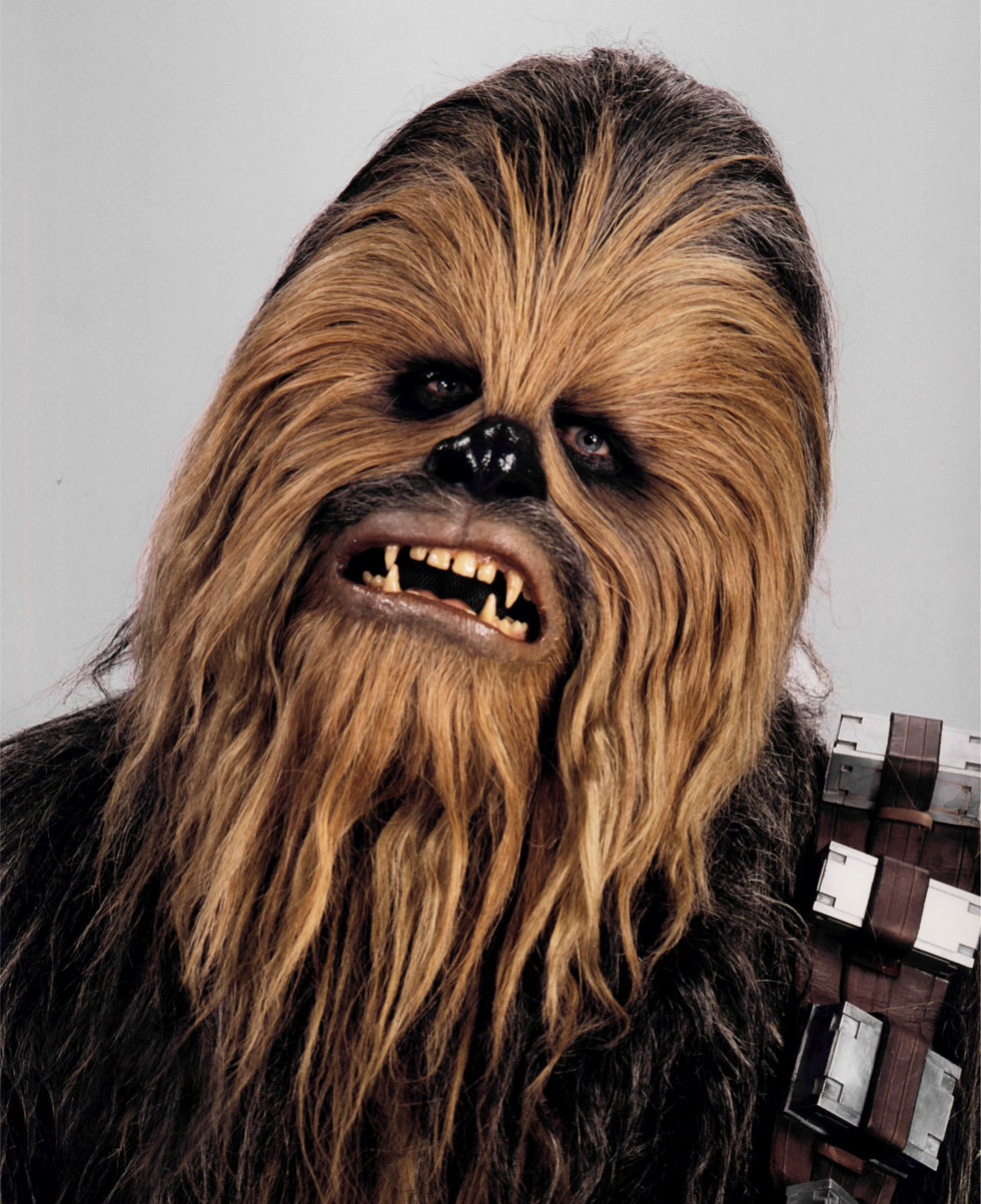 Chewbacca Star Wars Fanpedia Fandom powered by Wikia