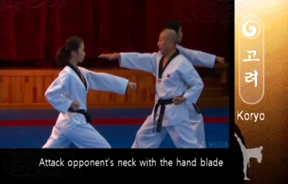 Outward Knifehand Strike Taekwondo Wiki FANDOM powered by Wikia