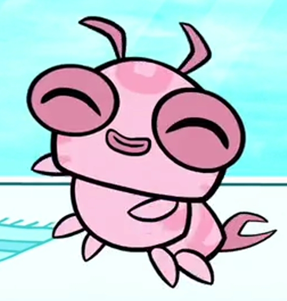 starfire pet starfire pet
