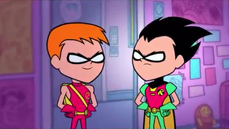 Speedy and robin