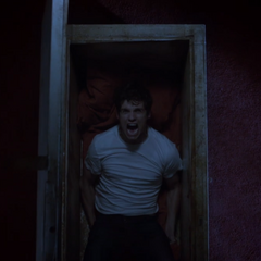 Isaac S Hallucination