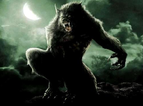 Le Loup Garou, Lieu d'accueil pour tous Le Loup Garou dans les deux sèvres