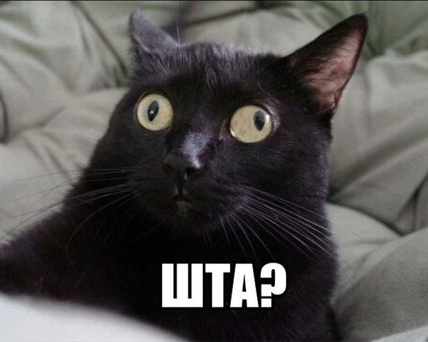 latest?cb=20141111170715&path-prefix=ru