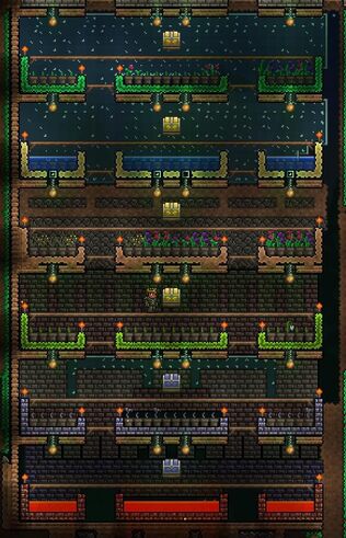 Flower farm