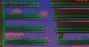 Mushroom farming