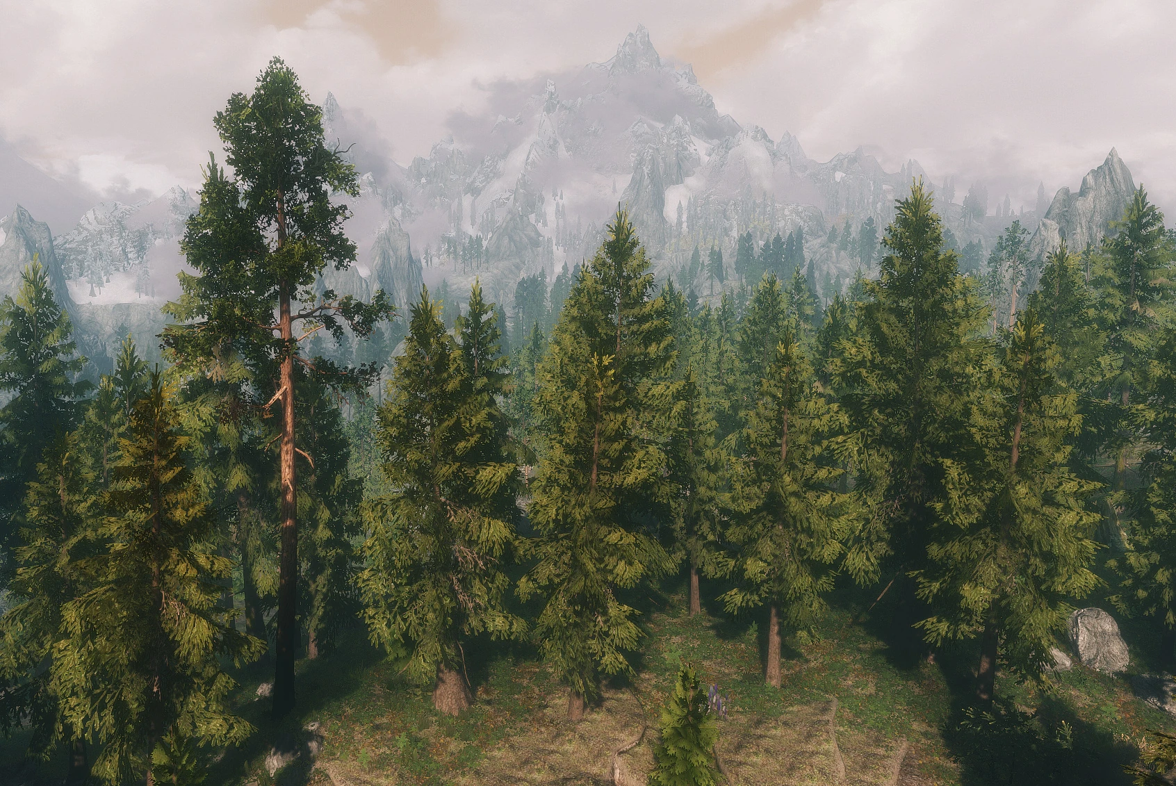 Skyrim Flora Overhaul The Elder Scrolls Mods Wiki FANDOM powered by