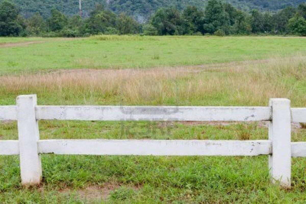 White Farm Fence White Farm Fence