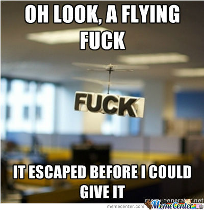 wiki fear flying novel wiki fear flying novel