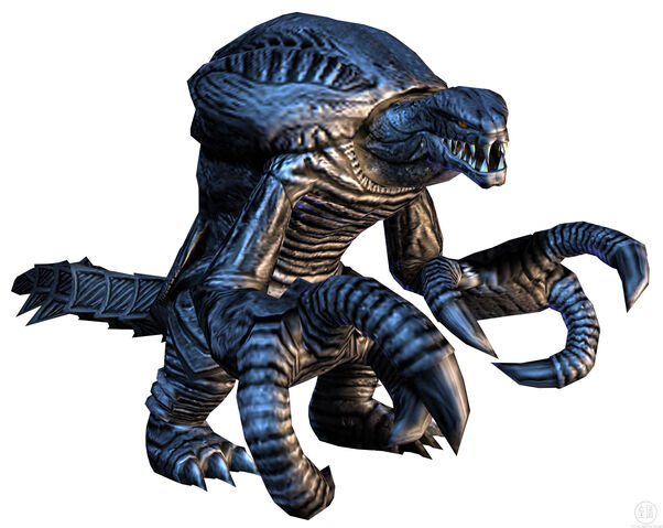 File:Orga.jpg