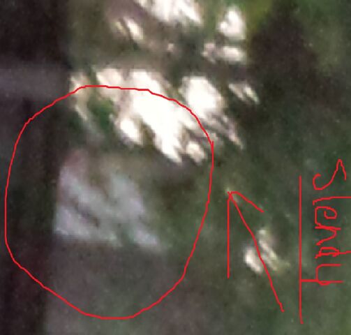 File:Slendyman in neighber back yard.jpg