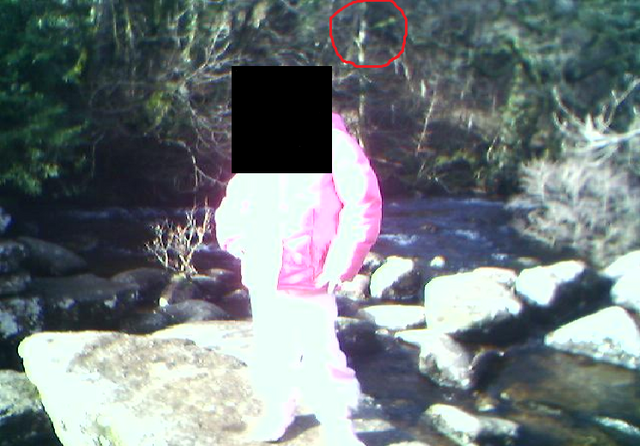 File:Slender man in my photo?.png