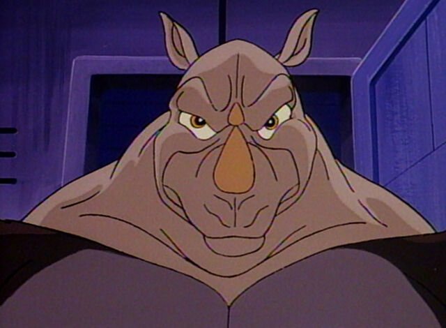 File:Rhino.jpg