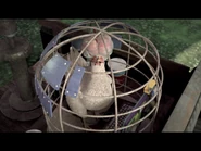 Cluck.jpg (324 KB) Kdákat