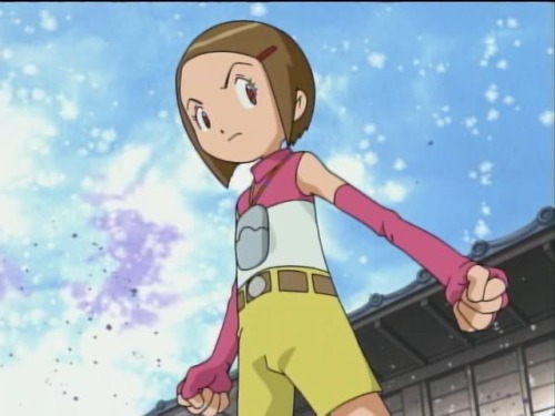 digimon kari digimon kari