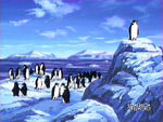 Soldier penguins