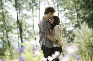 Normal Stills (6)