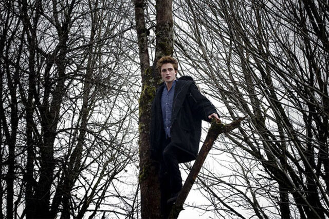 File:Twilight (film) 58.jpg