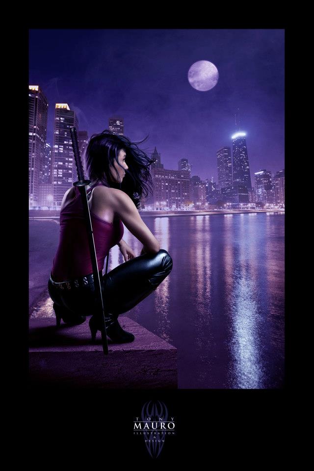 Chicagoland Vampires series Urban Fantasy Wiki Fandom powered by Wikia