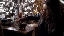 Normal TheOriginals217-0767