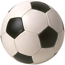 Futbol pelota.jpg