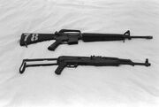 AKMS and M16 DM-SN-82-07698
