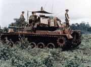 Men of Troop B, Vietnam
