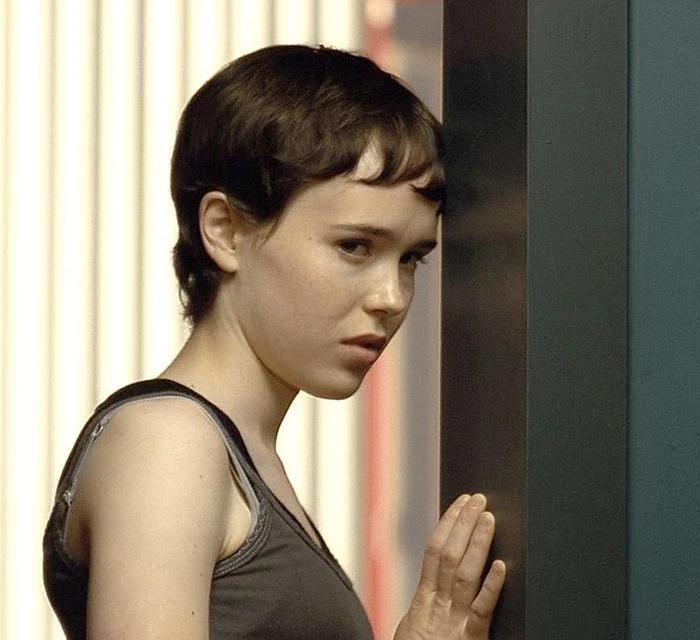 Hayley Stark Villains Wiki Fandom powered by Wikia