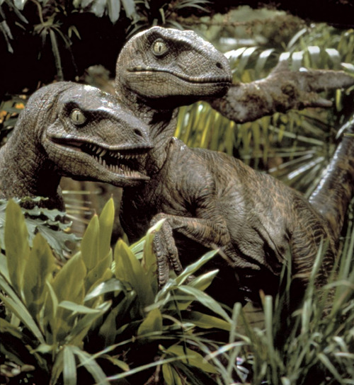 velociraptors velocirapper