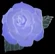 Lust flower