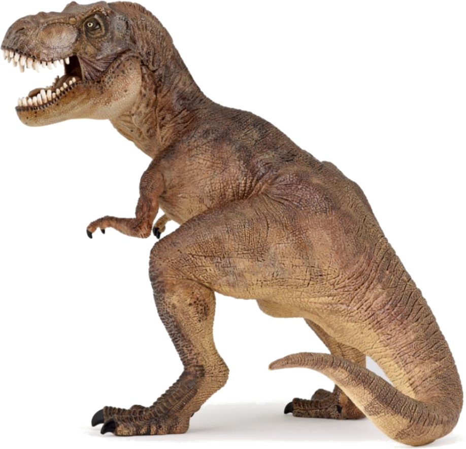 Image - T Rex.png | VS Battles Wiki | Fandom powered by Wikia
