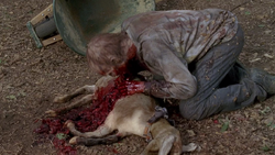 Tabitha (TV Series) - Walking Dead Wiki - Wikia
