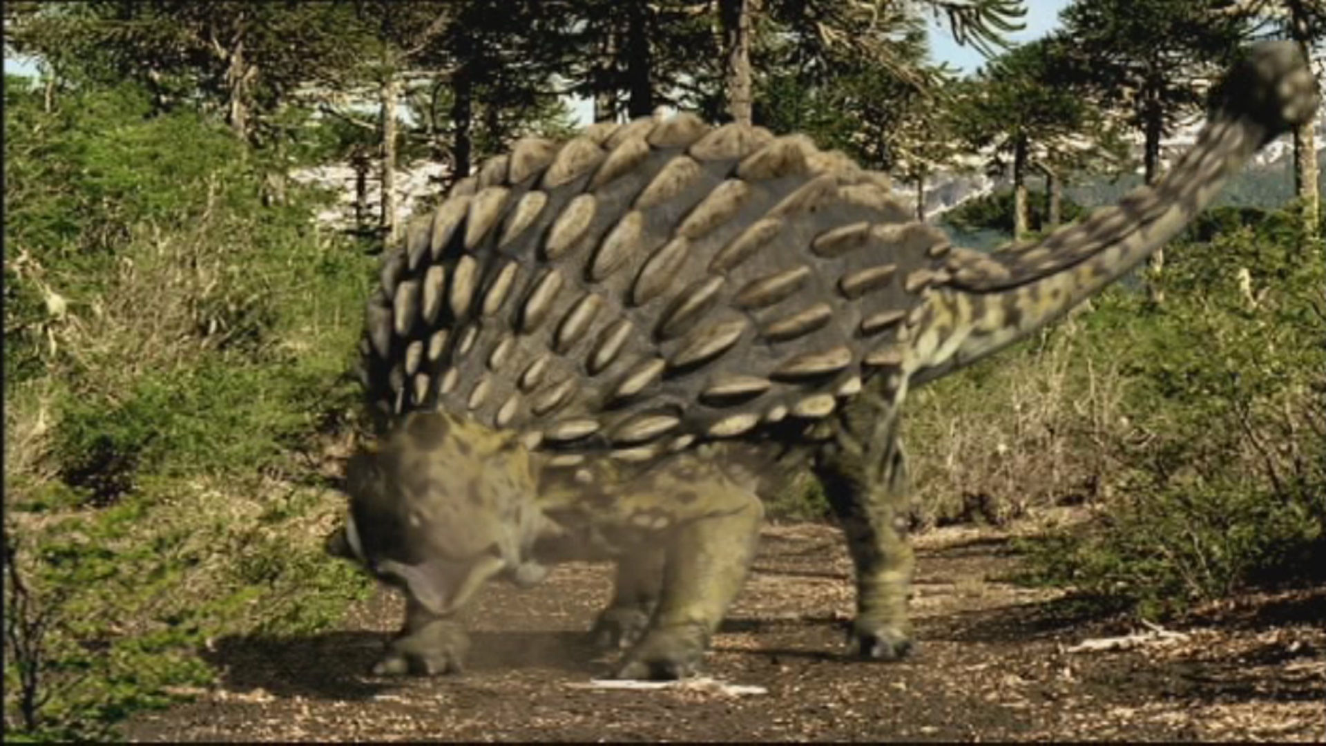 Ankylosaurus | Walking With Wikis | Fandom powered by Wikia