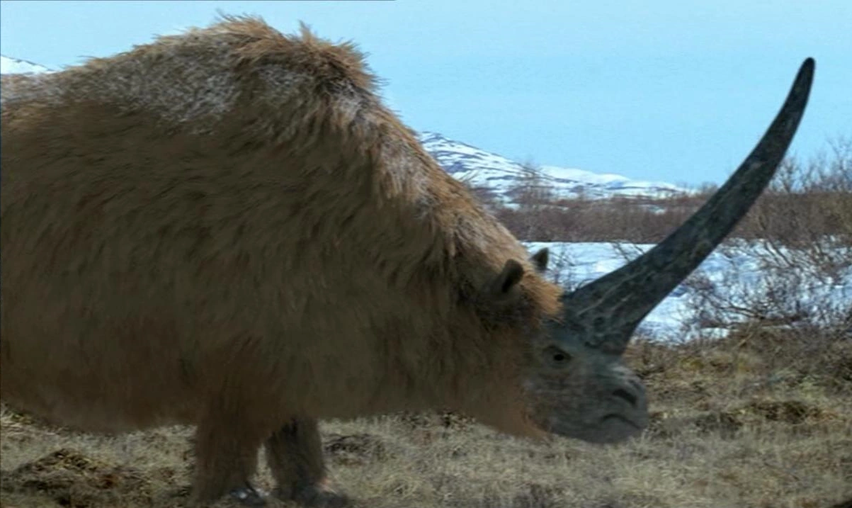 A fossilised skull has revealed when the last 'Siberian unicorn' lived on Earth