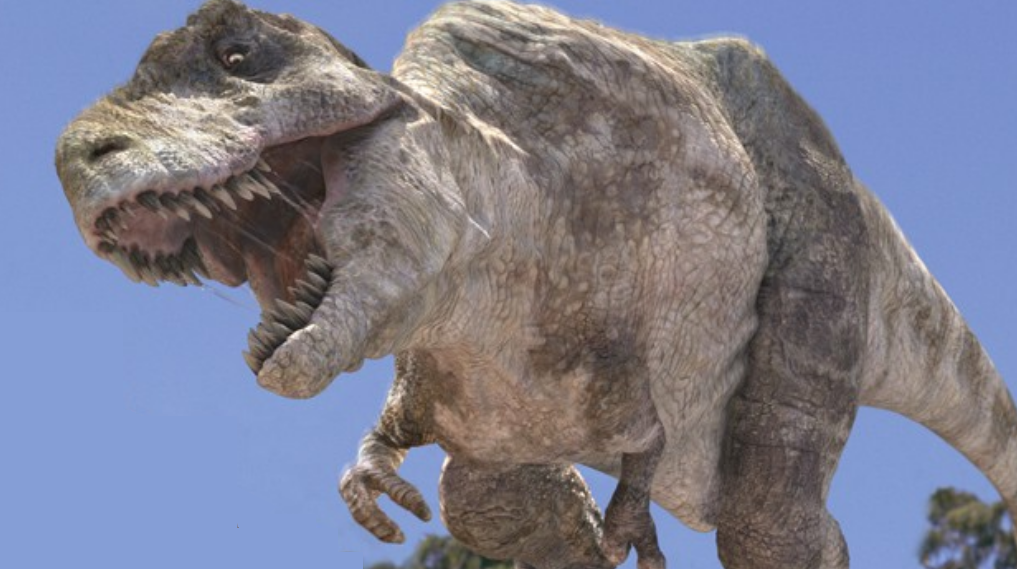 tarbosaurus and tyrannosaurus