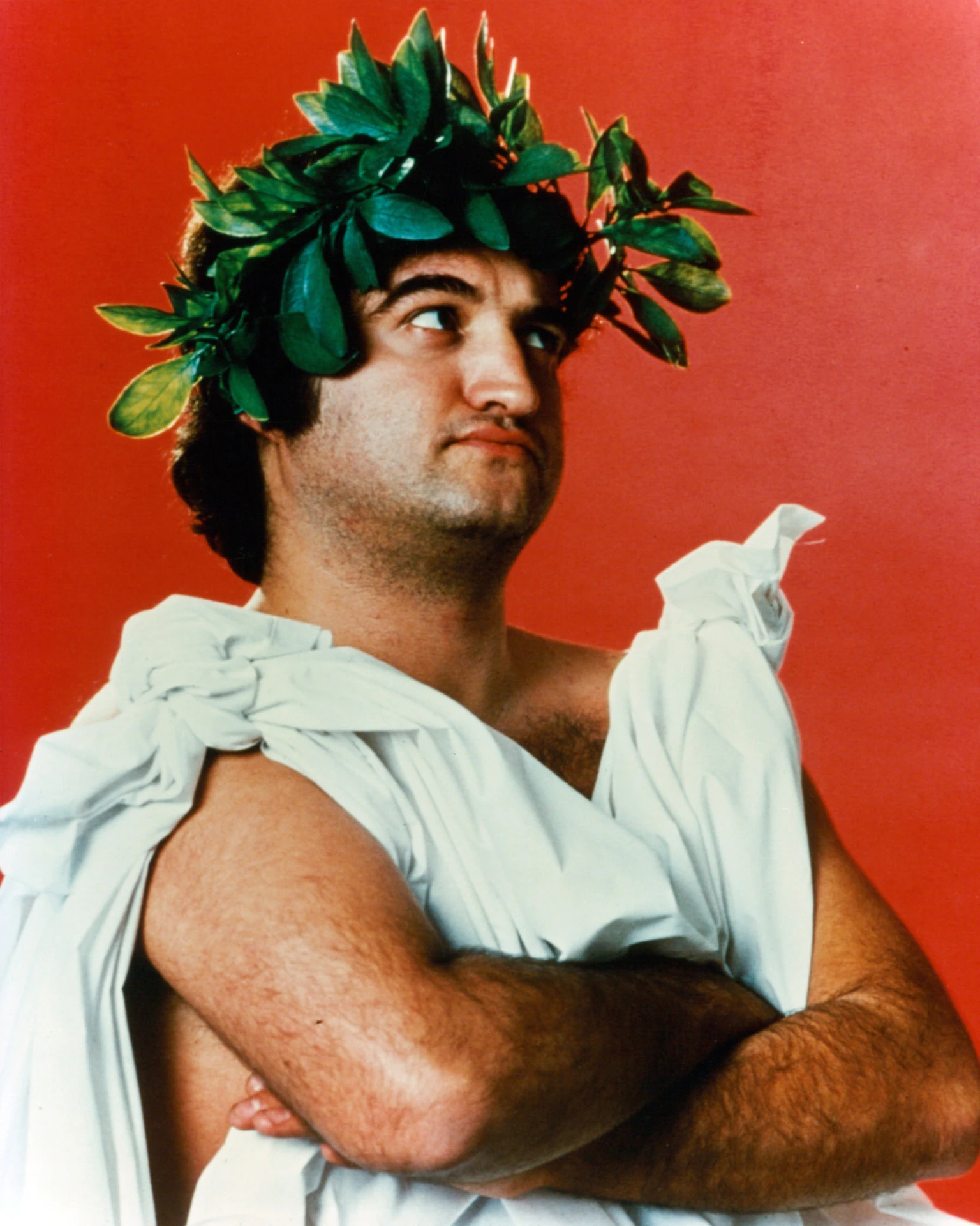 Toga from 'Animal House' Warehouse 13 Artifact Database Wiki Fandom