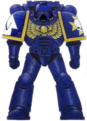 Imperial Paladins Battle-Brother