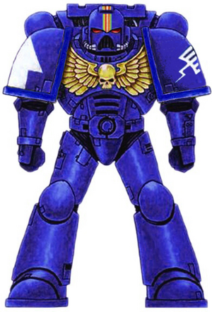Rainbow Warriors Armor