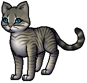 Warrior Cats Schlammfell Warrior Cats Schlammfell