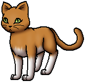 Warrior Cats Regenpelz Aus Dem Wolkenclan Warrior Cats Regenpelz Aus Dem Wolkenclan