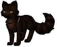 Warrior Cats Sorrelstripe Warrior Cats Sorrelstripe
