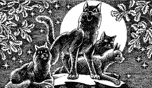 http://vignette1.wikia.nocookie.net/warriors-cats/images/d/d5/%D0%9D%D0%BE%D1%87%D1%8C_%D0%A1%D0%BE%D0%B2%D0%B5%D1%82%D0%B0.png/revision/latest/scale-to-width-down/300?cb=20150526205959&amp;path-prefix=ru
