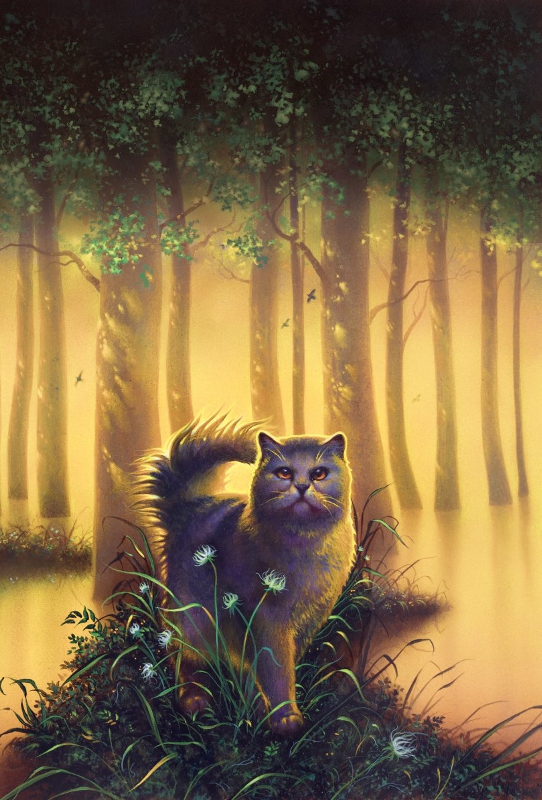 warriors cats of the forest warriors cats of the forest