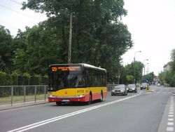 DSC09417.jpg