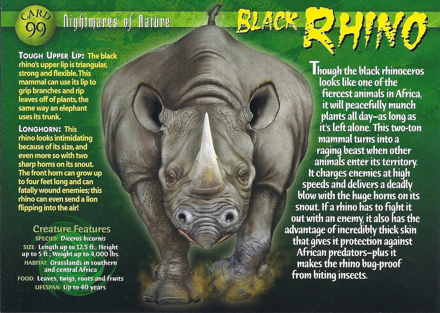 Black Rhinoceros | Wierd N'wild Creatures Wiki | FANDOM powered by Wikia