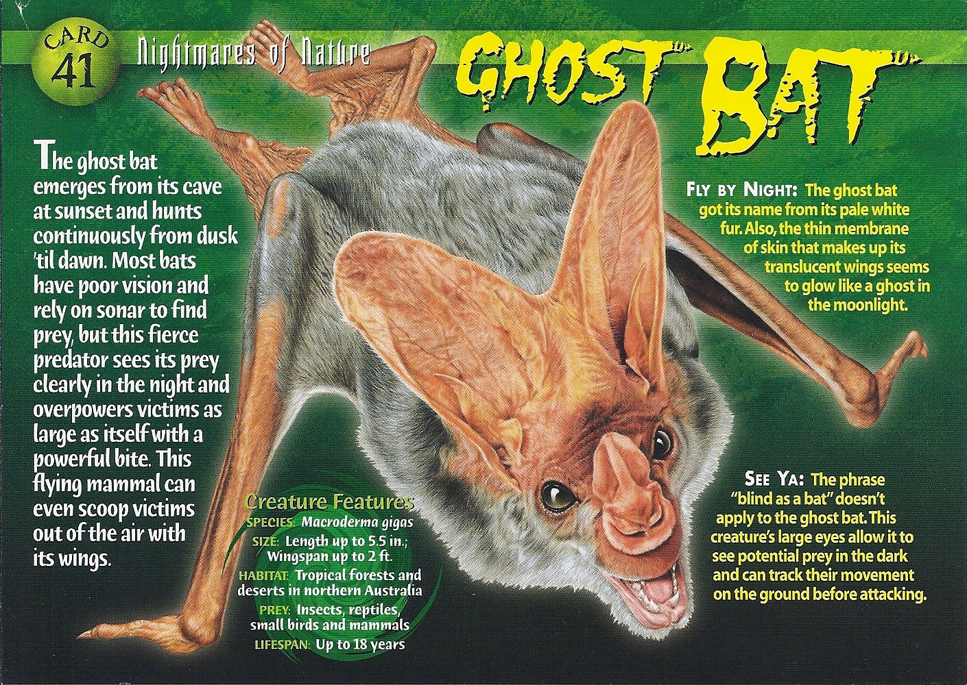 Ghost Bat Wierd N'wild Creatures Wiki FANDOM powered by Wikia