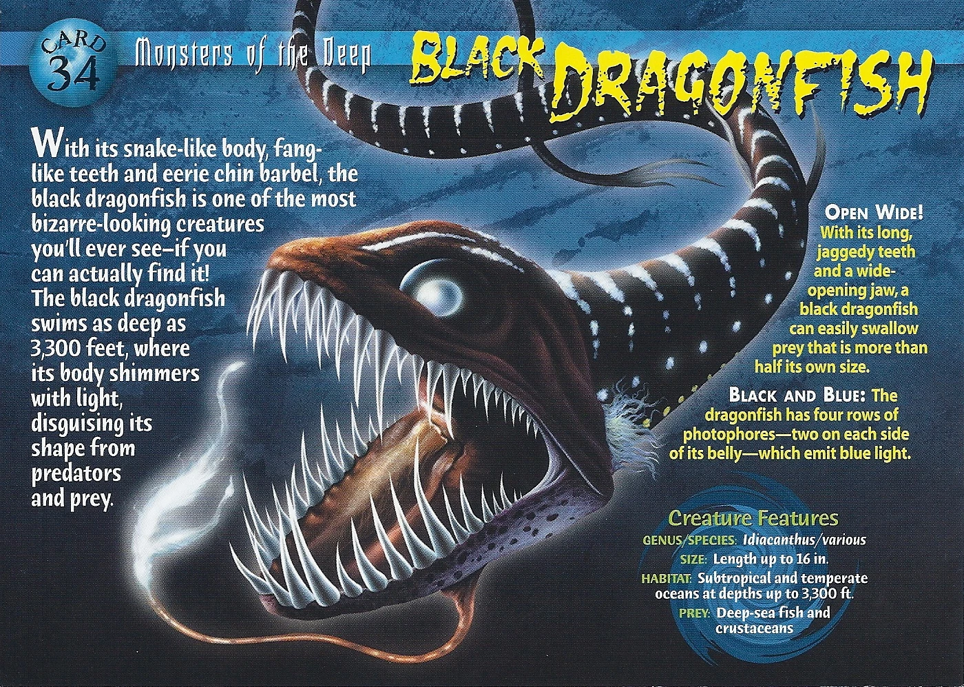Black Dragonfish Wierd N'wild Creatures Wiki FANDOM powered by Wikia