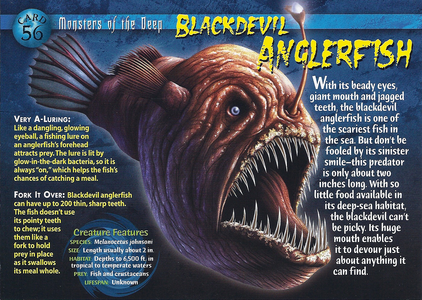Blackdevil Anglerfish Wierd N Wild Creatures Wiki Fandom Powered By