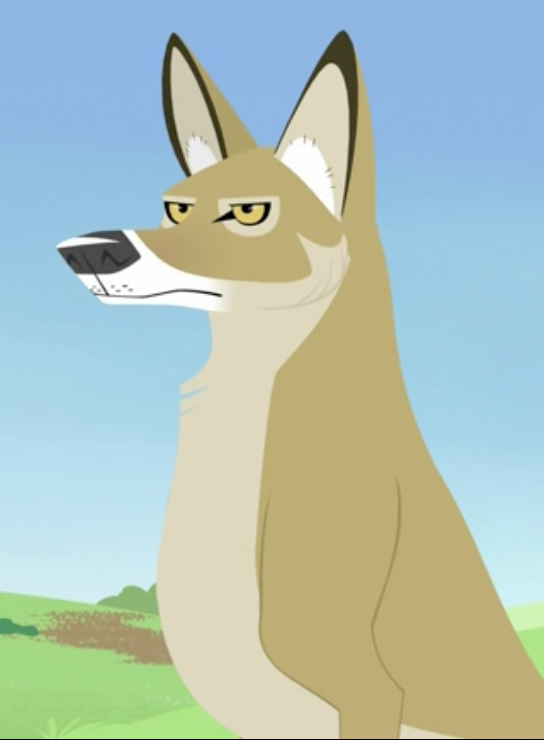 Tracker | Wild Kratts Wiki | FANDOM powered by Wikia