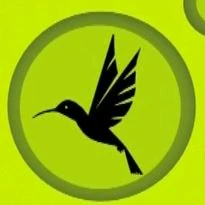 Image - Hummingbird.JPG | Wild Kratts Wiki | Fandom powered by Wikia