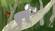 Koala Balloon | Wild Kratts Wiki | Fandom powered by Wikia